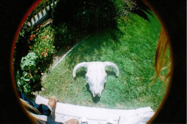 My best purchase of the trip, an old original cow's skull.